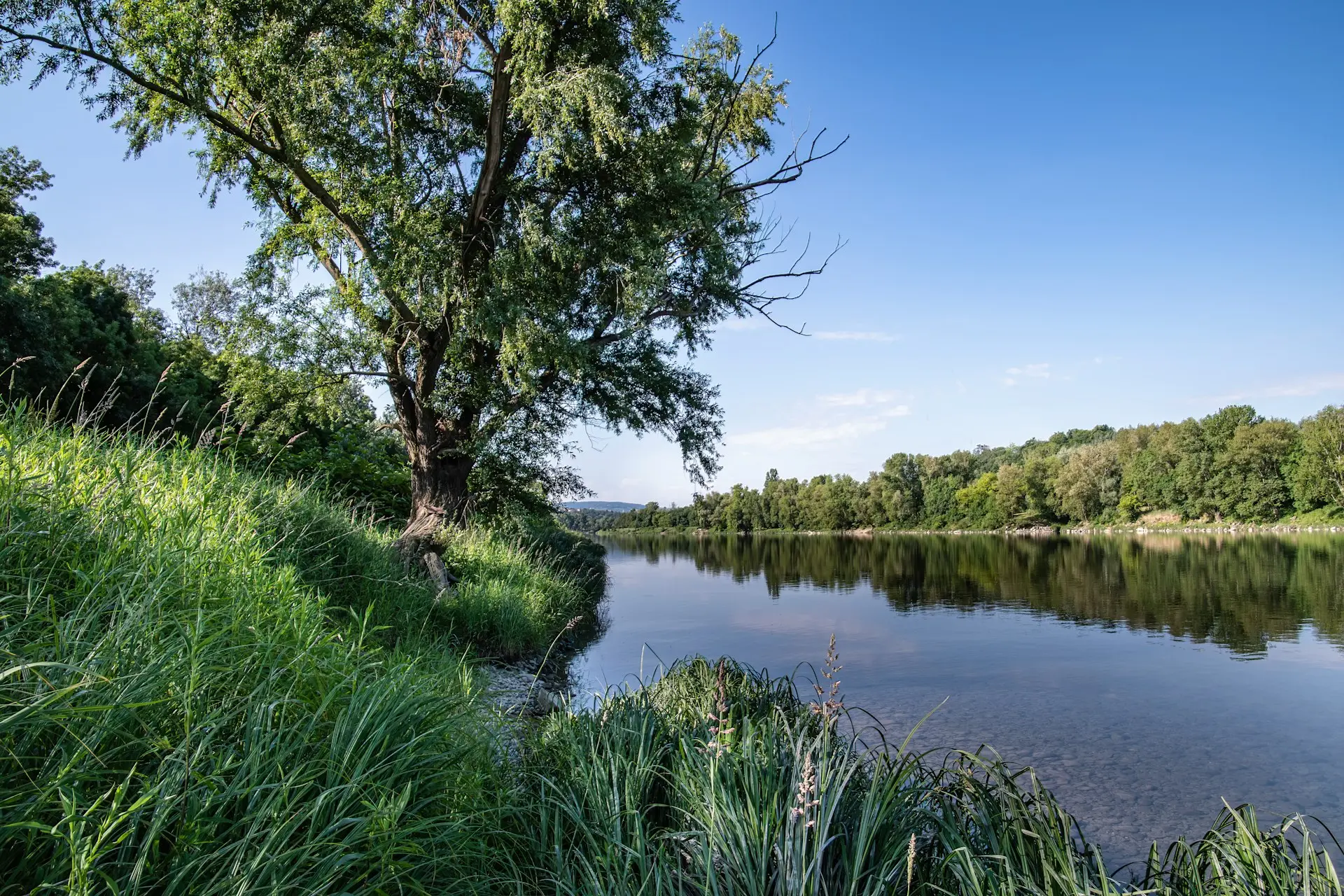 a lake surrounded by lush green grass and trees